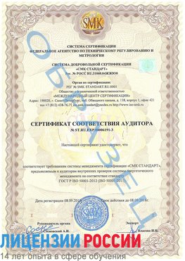 Образец сертификата соответствия аудитора №ST.RU.EXP.00006191-3 Бирск Сертификат ISO 50001